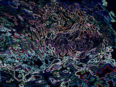 Neon reflections 2