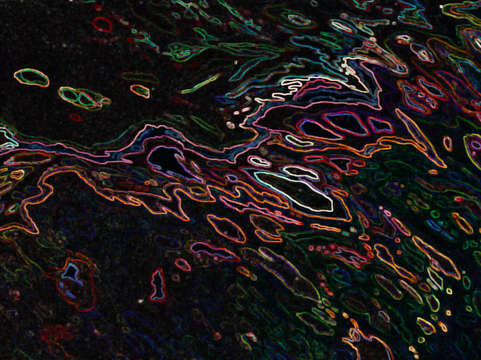 Neon reflections 3