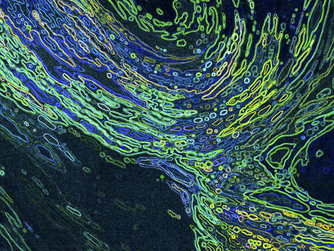 Neon reflections 5