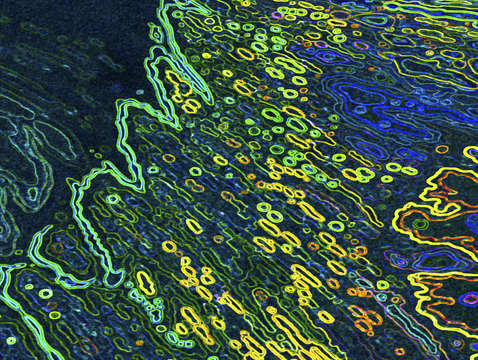 Neon reflections 6