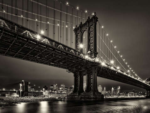 Dumbo nights