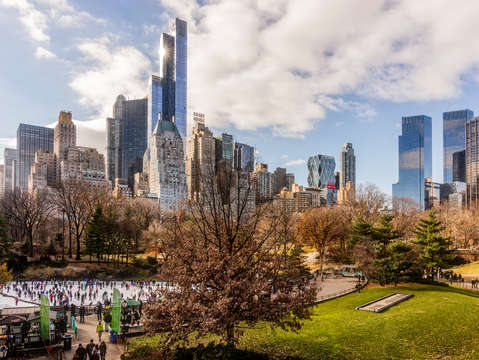 Central park skate