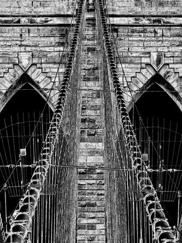 Brooklyn bridge cables 3116bw