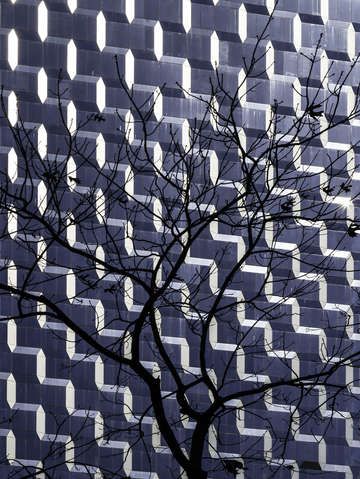 Contrast 1678
