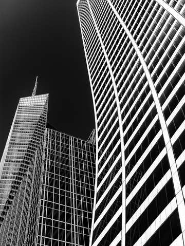 Curves and lines 1698bw