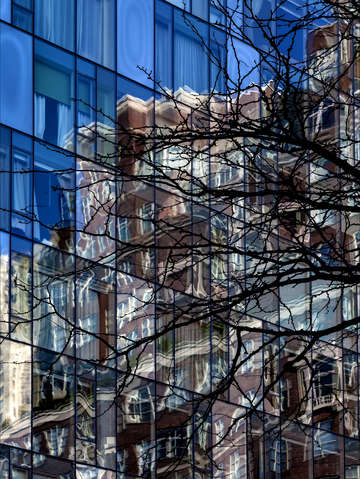 Glass architecture reflections and tree