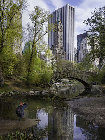 Central park view 2981