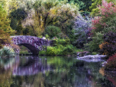 Amazing autumn colors 2738