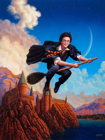 Harry potter parrish