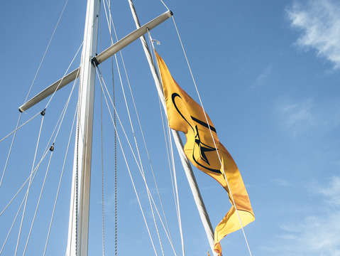 Up the mast