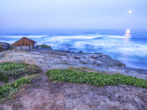 From windansea