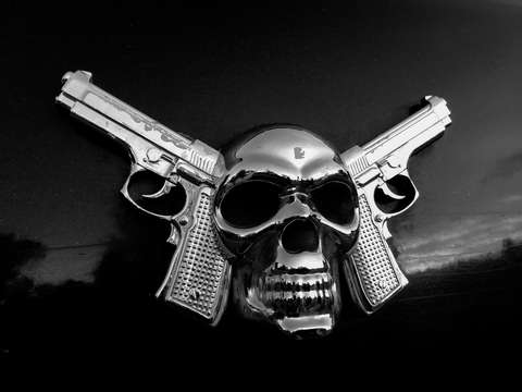 Skull and guns pickup truck d cor