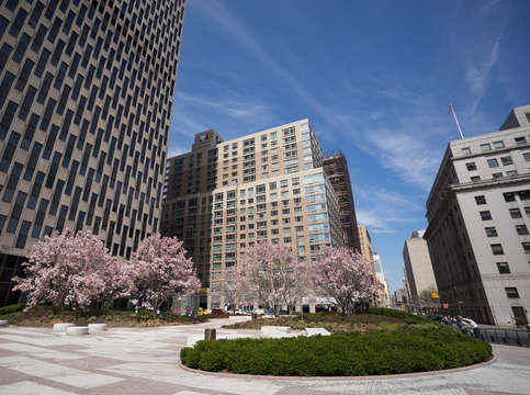 Federal plaza