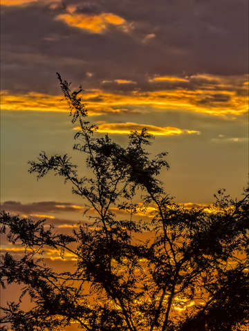 Sunset 2 2