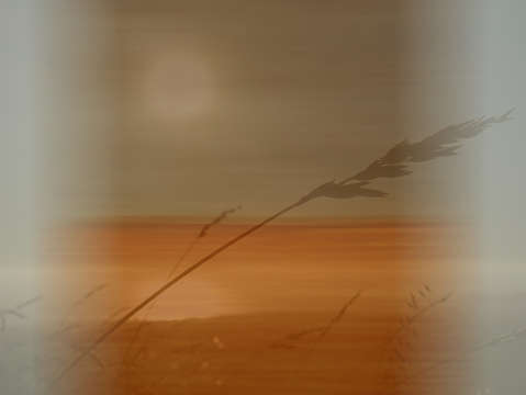 Pt 00398 grasses