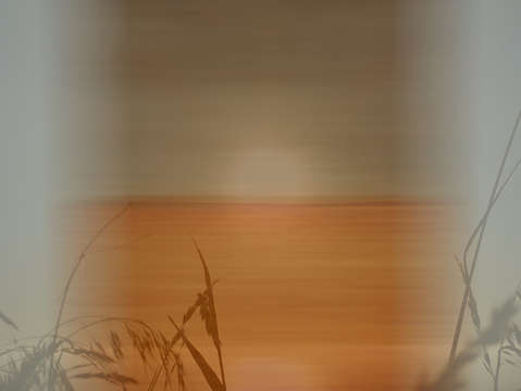 Pt 00405 grasses