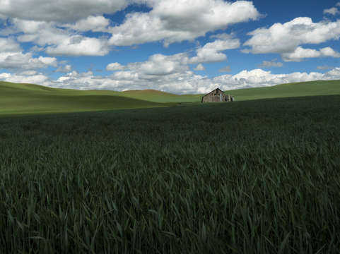 Shack 2