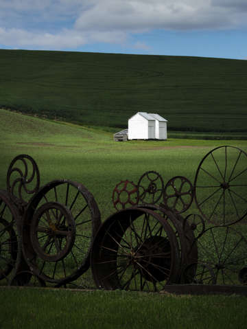 White houses