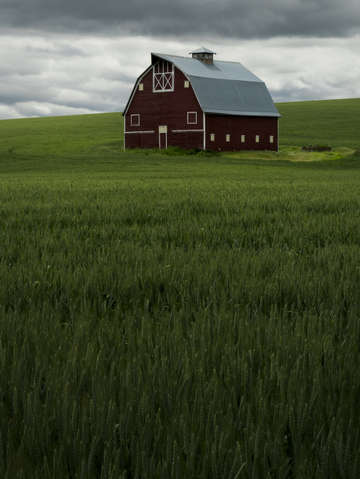 Palouse country barn