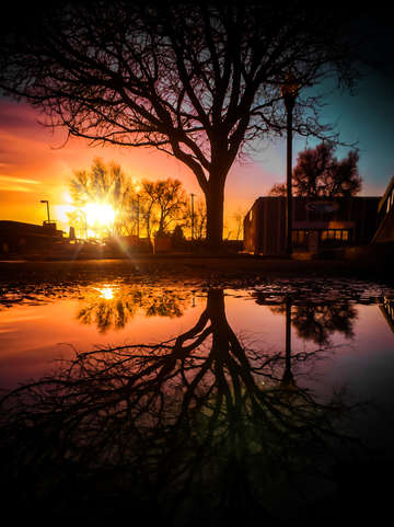 Sunsetter