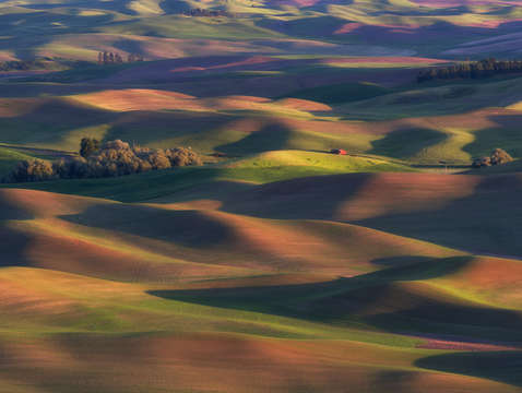 Colors of the palouse