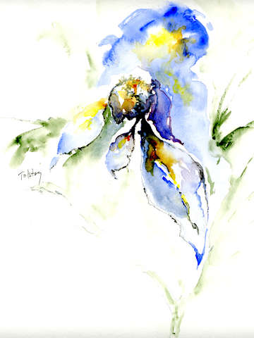 Blue flower 2