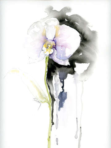 Orchid and leaf