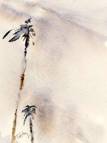 Two palms