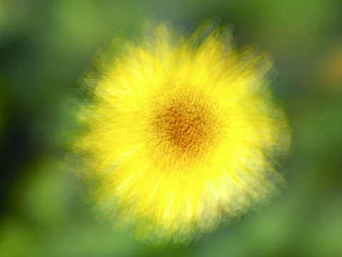 Big yellow joy