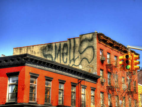 Williamsburg 5