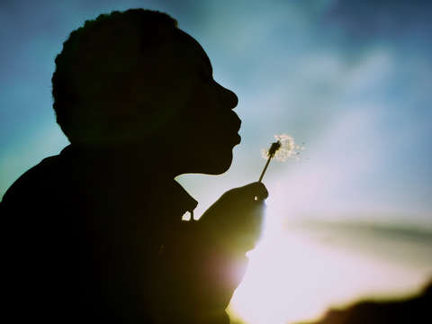 Wishes