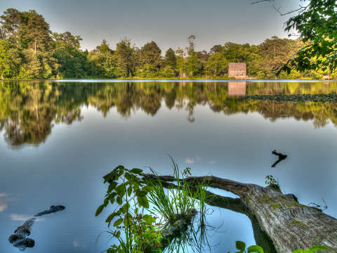 Yates mill 1