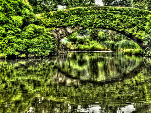 Central park 1