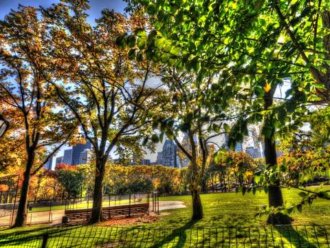 Central park 4 2