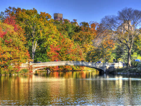 Central park 6