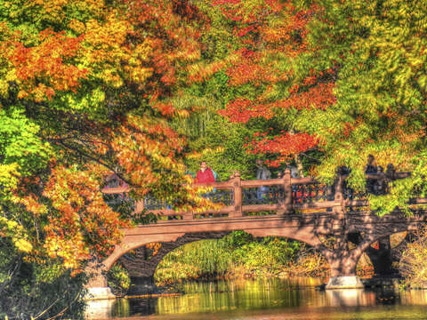 Central park 8