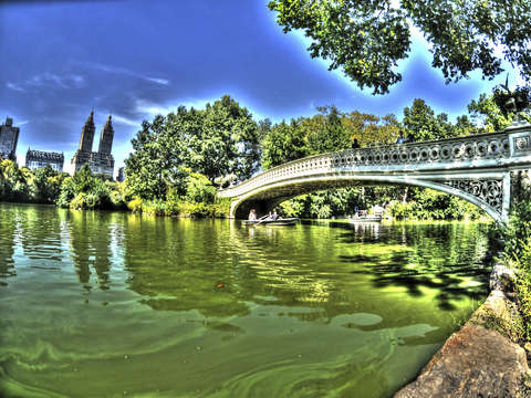 Central park 10