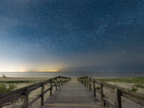Crane beach