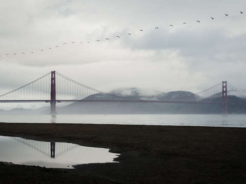 Golden gate reflection