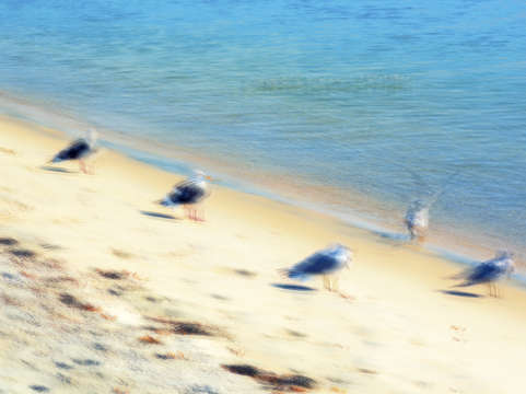 Our beach