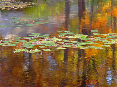Autumn Reflections III