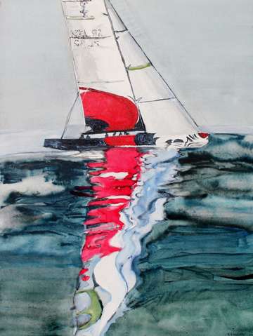 Team nz