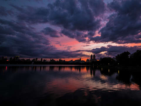 Purple explosion