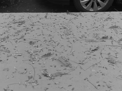 Untitled l1601596 nyc