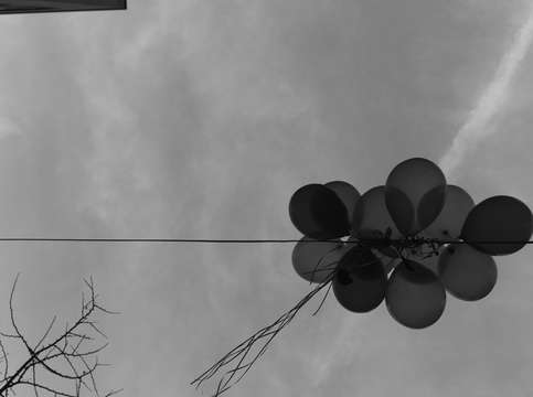 Untitled l1601686 nyc