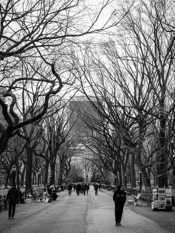 The stroll