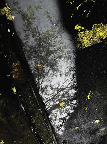 Urban landscape
