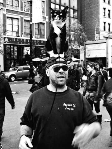 Cat man union square