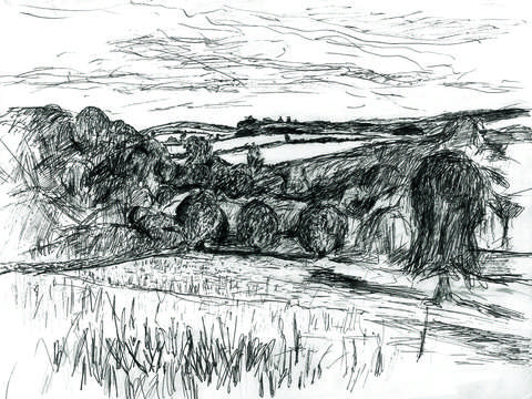 The devon england country side