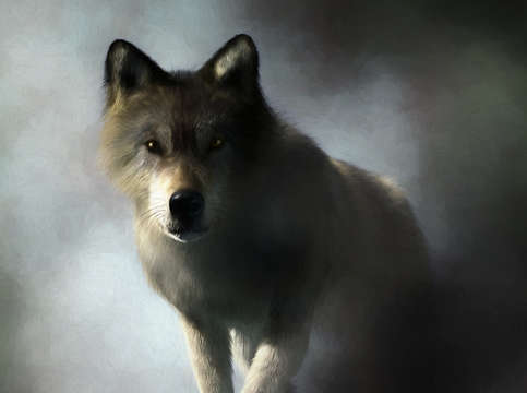 Portrait of a wolf